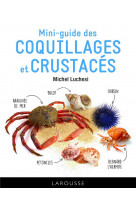 Le mini-guide des coquillages et crustaces