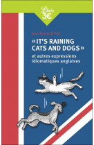 It's raining cats and dogs et autres expressions idiomatiques anglaises