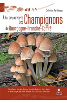 A la decouverte des champignons de bourgogne-france-comte
