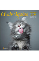 Calendrier chats rigolos 2024