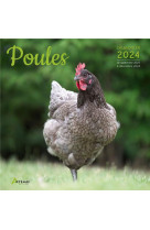 Calendrier poules 2024