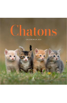 Calendrier chatons 2024