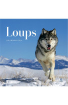 Calendrier loups 2024