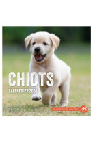Calendrier mural chiots 2024
