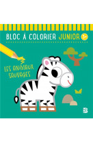 Bloc a colorier junior 3+ les animaux sauvages