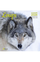 Calendrier loups 2024