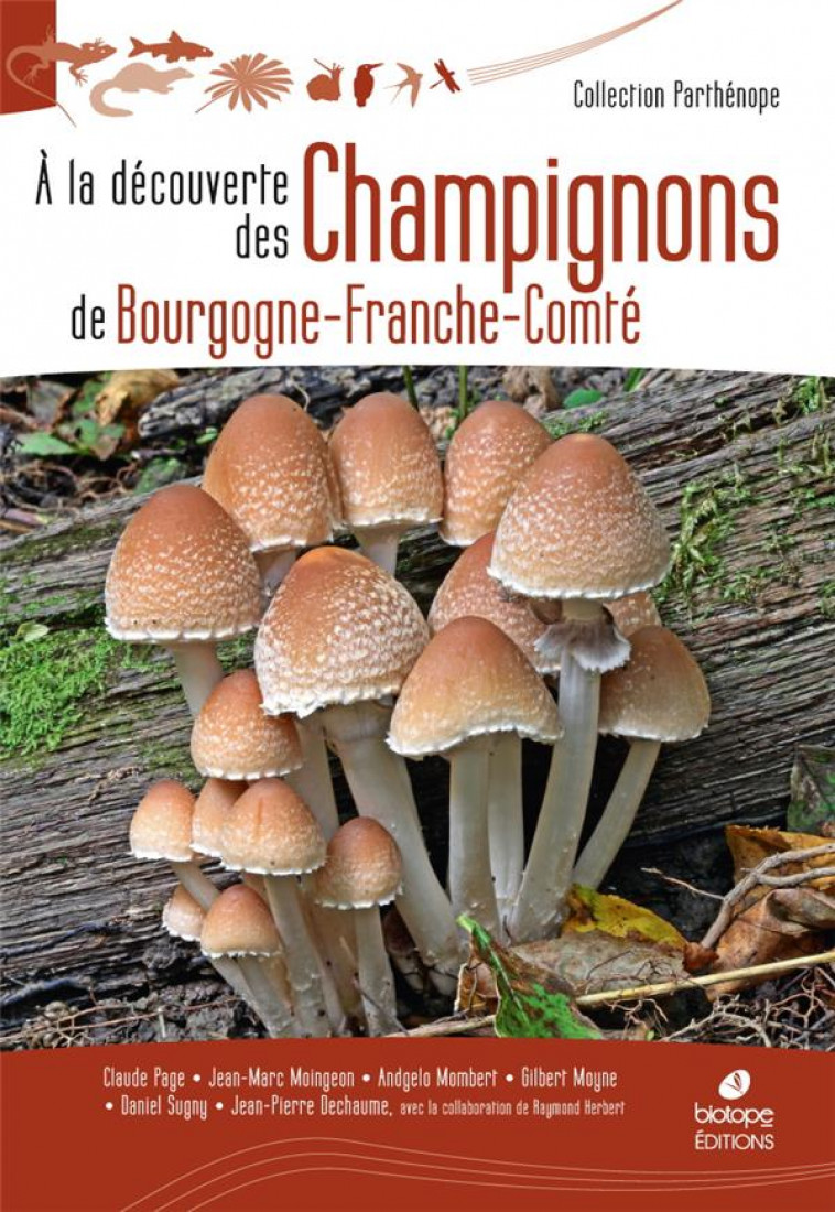 A LA DECOUVERTE DES CHAMPIGNONS DE BOURGOGNE-FRANCE-COMTE - PAGE/MOINGEON/MOYNE - BIOTOPE